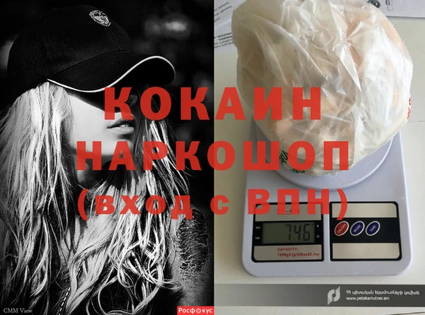 крисы Каменка