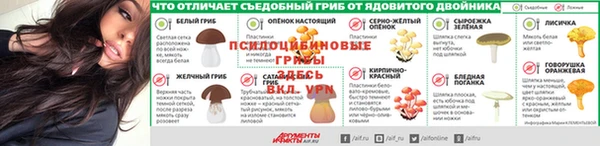 крисы Каменка