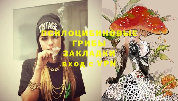 метадон Инсар