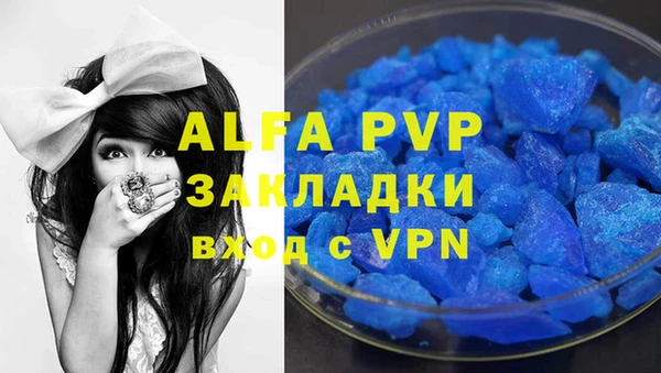 крисы Каменка