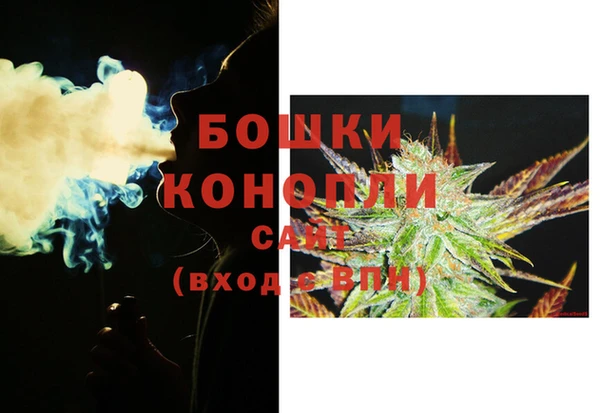 крисы Каменка