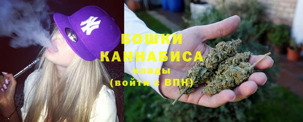крисы Каменка